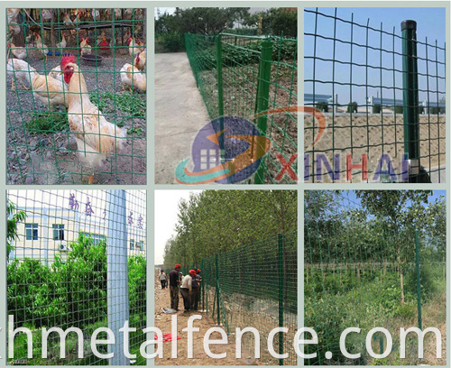 Holland Wire Mesh Fence